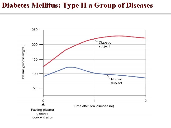 Diabetes Mellitus: Type II a Group of Diseases 