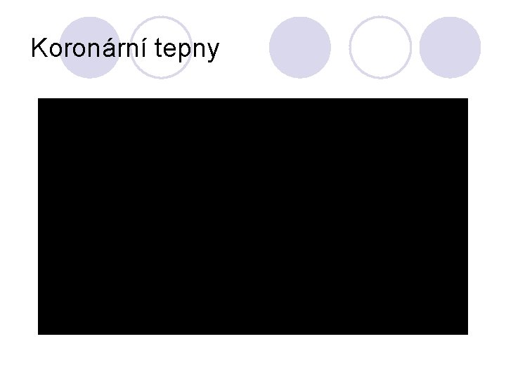 Koronární tepny 