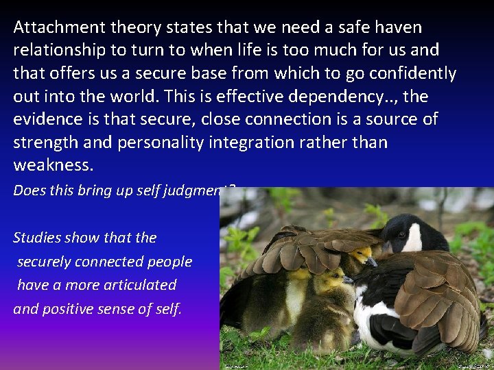 Attachment theory states that we need a safe haven relationship to turn to when
