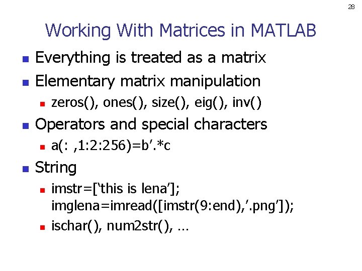 28 Working With Matrices in MATLAB n n Everything is treated as a matrix