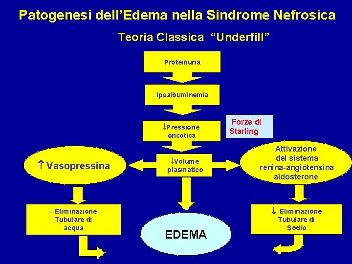Patogenesi dell’Edema nella Sindrome Nefrosica Teoria Classica “Underfill” Proteinuria ipoalbuminemia Pressione oncotica Vasopressina Eliminazione