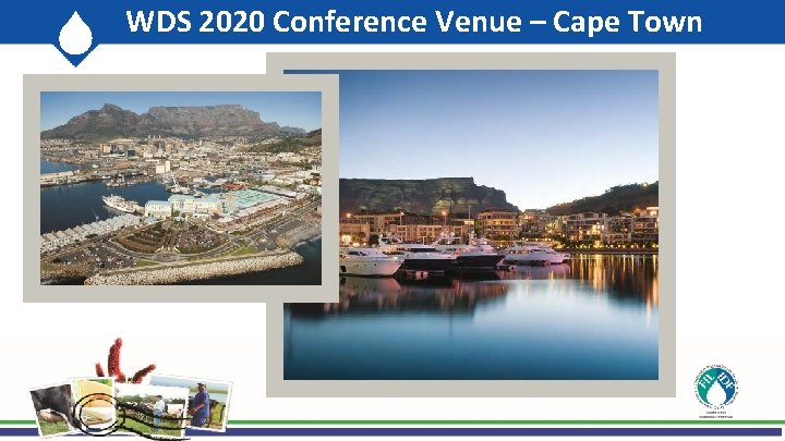 WDS 2020 Conference Venue – Cape Town 