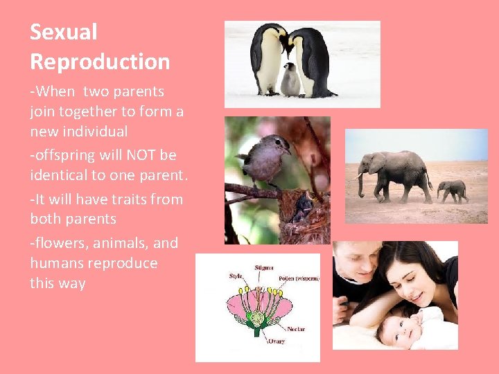 Sexual Reproduction -When two parents join together to form a new individual -offspring will