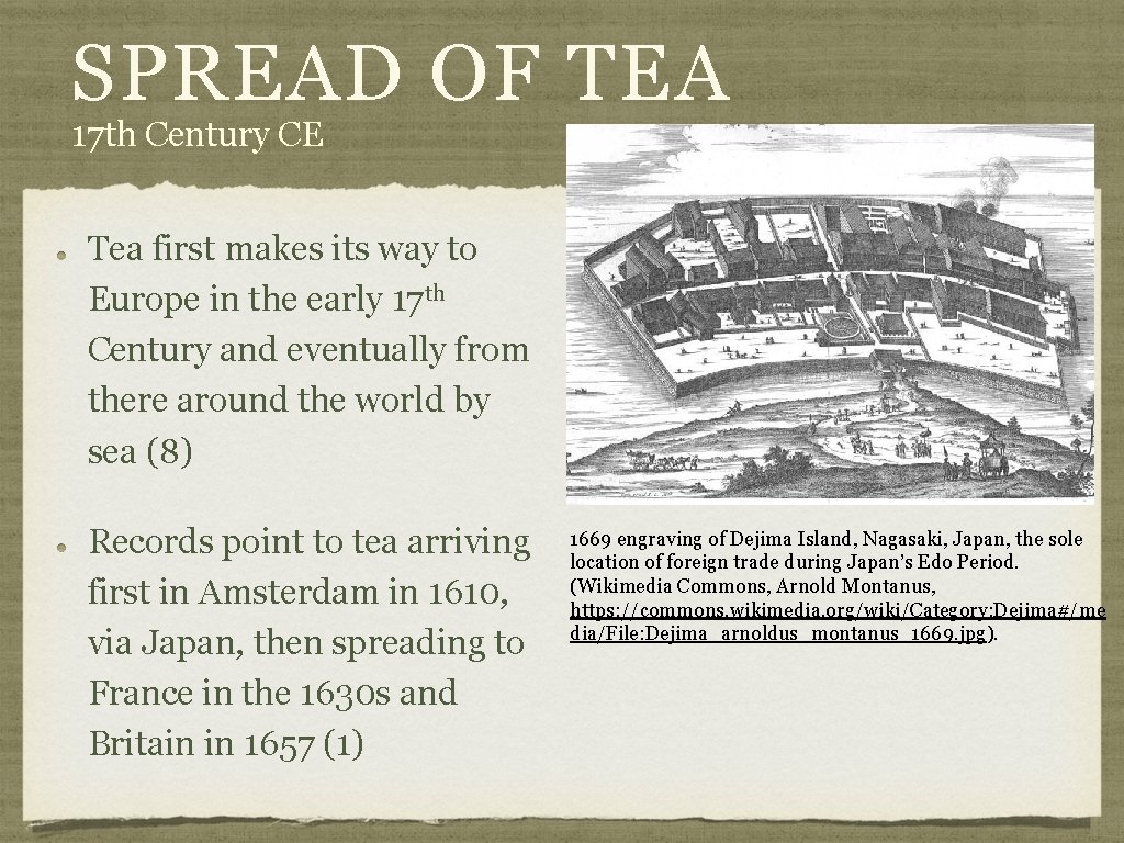 SPREAD OF TEA 17 th Century CE Tea first makes its way to Europe