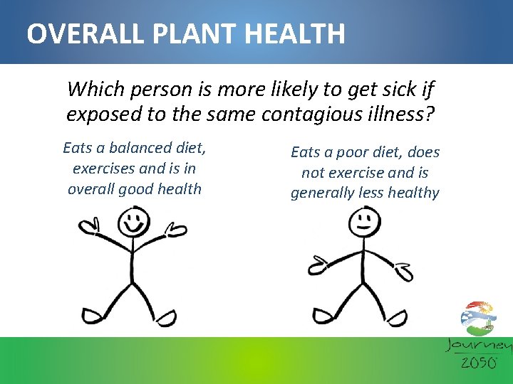 OVERALL PLANT HEALTH Which person is more likely to get sick if exposed to