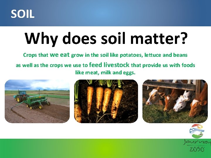 SOIL Why does soil matter? Crops that we eat grow in the soil like