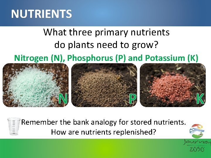 NUTRIENTS What three primary nutrients do plants need to grow? Nitrogen (N), Phosphorus (P)