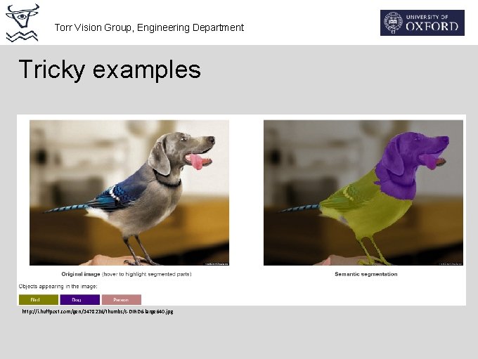Torr Vision Group, Engineering Department Tricky examples http: //i. huffpost. com/gen/1478236/thumbs/s-DIRD 6 -large 640.