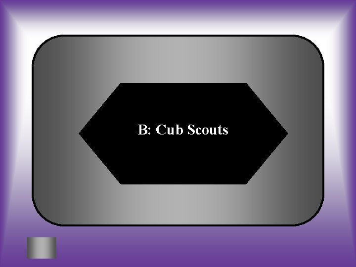 B: Cub Scouts 