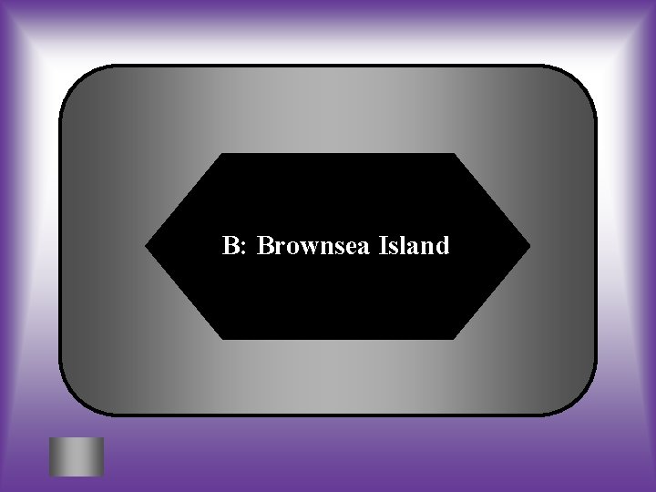 B: Brownsea Island 