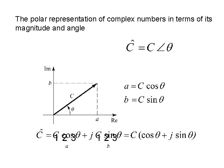 The polar representation of complex numbers in terms of its magnitude and angle 