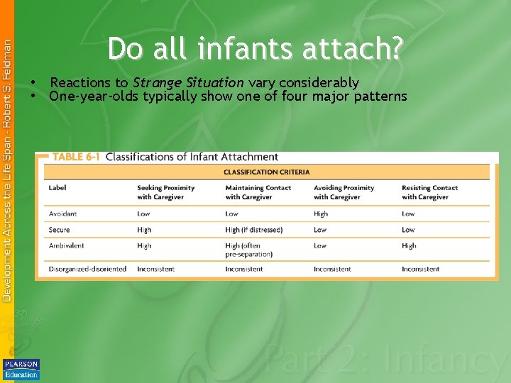 Do all infants attach? • Reactions to Strange Situation vary considerably • One-year-olds typically