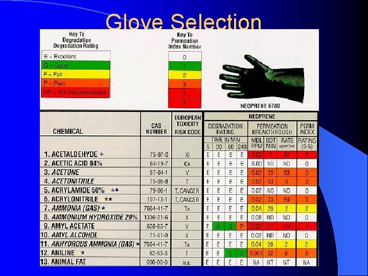 Glove Selection 