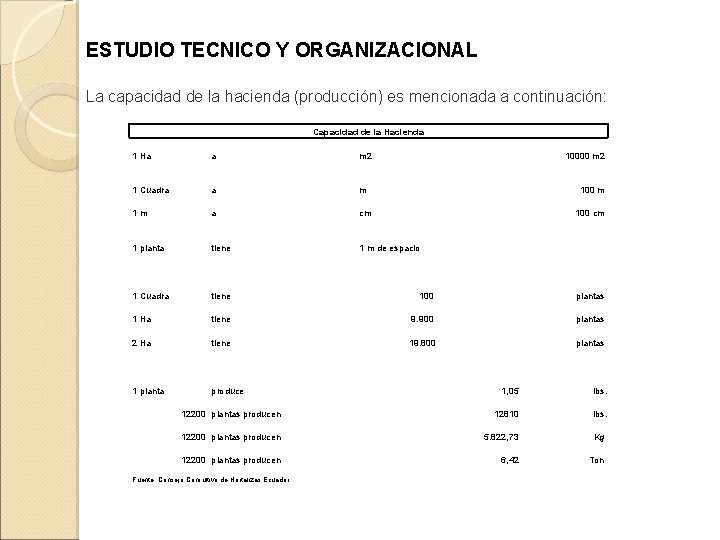 ESTUDIO TECNICO Y ORGANIZACIONAL La capacidad de la hacienda (producción) es mencionada a continuación: