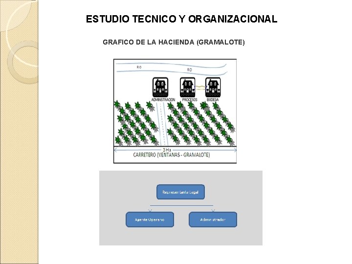 ESTUDIO TECNICO Y ORGANIZACIONAL GRAFICO DE LA HACIENDA (GRAMALOTE) 