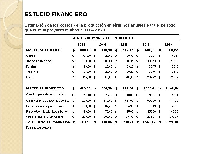 ESTUDIO FINANCIERO Estimación de los costos de la producción en términos anuales para el