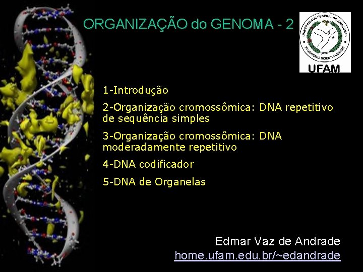 ORGANIZAÇÃO do GENOMA - 2 1 -Introdução 2 -Organização cromossômica: DNA repetitivo de sequência