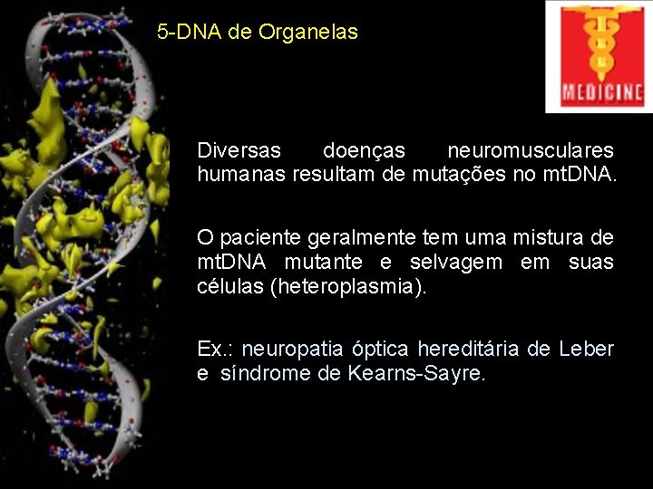 5 -DNA de Organelas • Diversas doenças neuromusculares humanas resultam de mutações no mt.