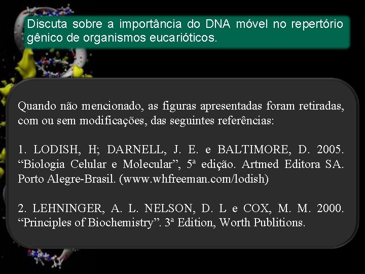 Discuta sobre a importância do DNA móvel no repertório gênico de organismos eucarióticos. Quando