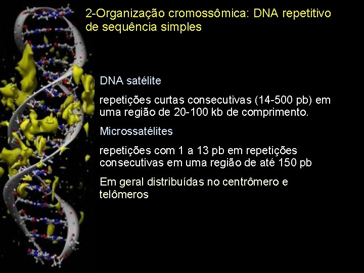 2 -Organização cromossômica: DNA repetitivo de sequência simples DNA satélite repetições curtas consecutivas (14