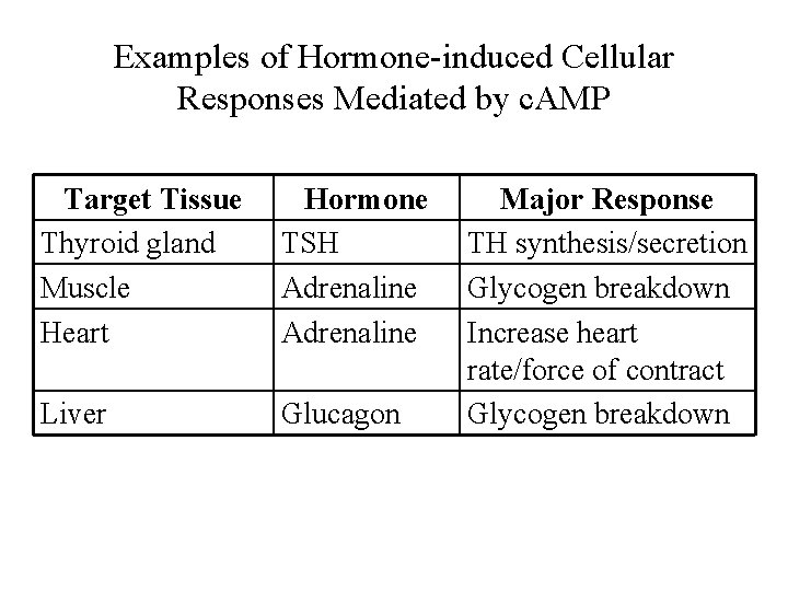 Examples of Hormone-induced Cellular Responses Mediated by c. AMP Target Tissue Thyroid gland Muscle