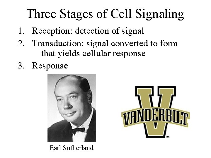 Three Stages of Cell Signaling 1. Reception: detection of signal 2. Transduction: signal converted