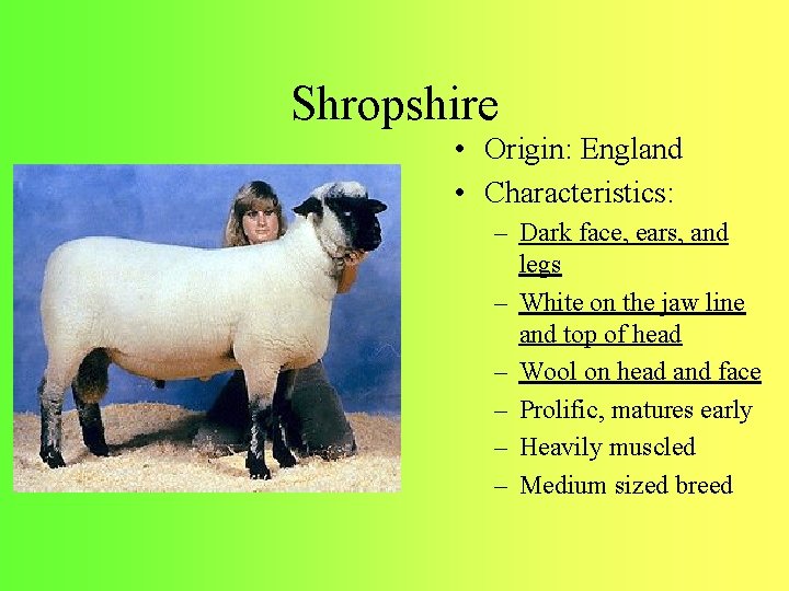 Shropshire • Origin: England • Characteristics: – Dark face, ears, and legs – White