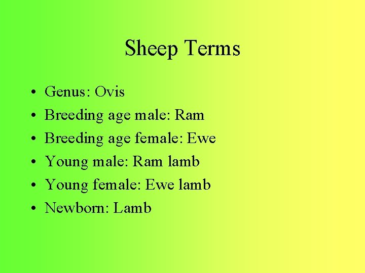 Sheep Terms • • • Genus: Ovis Breeding age male: Ram Breeding age female: