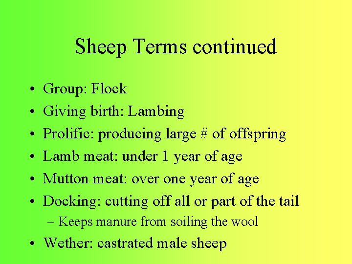 Sheep Terms continued • • • Group: Flock Giving birth: Lambing Prolific: producing large
