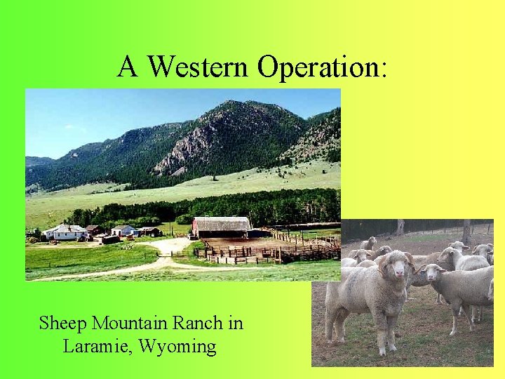  A Western Operation: Sheep Mountain Ranch in Laramie, Wyoming 