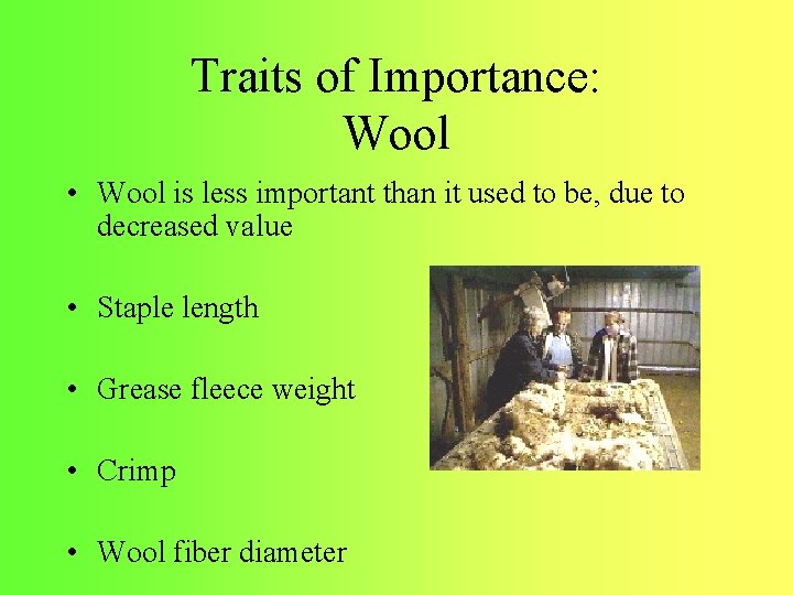 Traits of Importance: Wool • Wool is less important than it used to be,