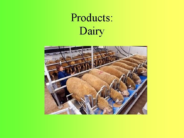 Products: Dairy 