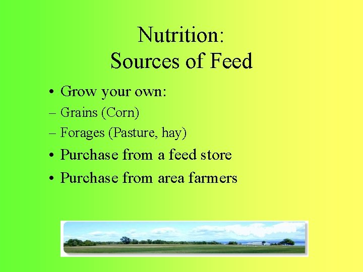 Nutrition: Sources of Feed • Grow your own: – Grains (Corn) – Forages (Pasture,