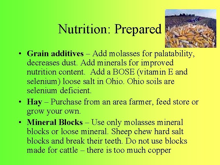 Nutrition: Prepared • Grain additives – Add molasses for palatability, decreases dust. Add minerals