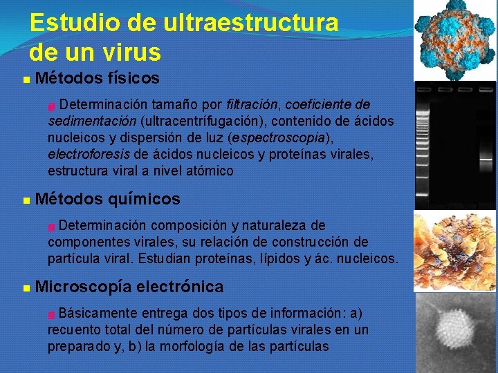 Estudio de ultraestructura de un virus n Métodos físicos 4 Determinación tamaño por filtración, Estudio de ultraestructura de un virus n Métodos físicos 4 Determinación tamaño por filtración,