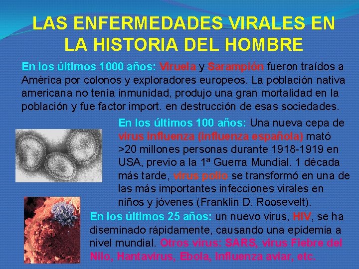 LAS ENFERMEDADES VIRALES EN LA HISTORIA DEL HOMBRE En los últimos 1000 años: Viruela LAS ENFERMEDADES VIRALES EN LA HISTORIA DEL HOMBRE En los últimos 1000 años: Viruela