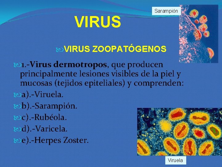 VIRUS Sarampión VIRUS ZOOPATÓGENOS 1. -Virus dermotropos, que producen principalmente lesiones visibles de la VIRUS Sarampión VIRUS ZOOPATÓGENOS 1. -Virus dermotropos, que producen principalmente lesiones visibles de la
