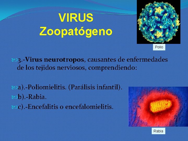 VIRUS Zoopatógeno Polio 3. -Virus neurotropos, causantes de enfermedades de los tejidos nerviosos, comprendiendo: VIRUS Zoopatógeno Polio 3. -Virus neurotropos, causantes de enfermedades de los tejidos nerviosos, comprendiendo: