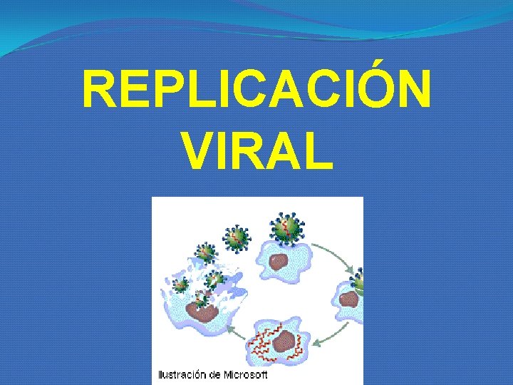 REPLICACIÓN VIRAL REPLICACIÓN VIRAL