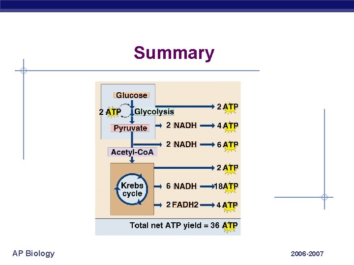 Summary AP Biology 2006 -2007 