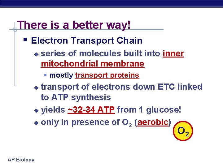 There is a better way! § Electron Transport Chain u series of molecules built
