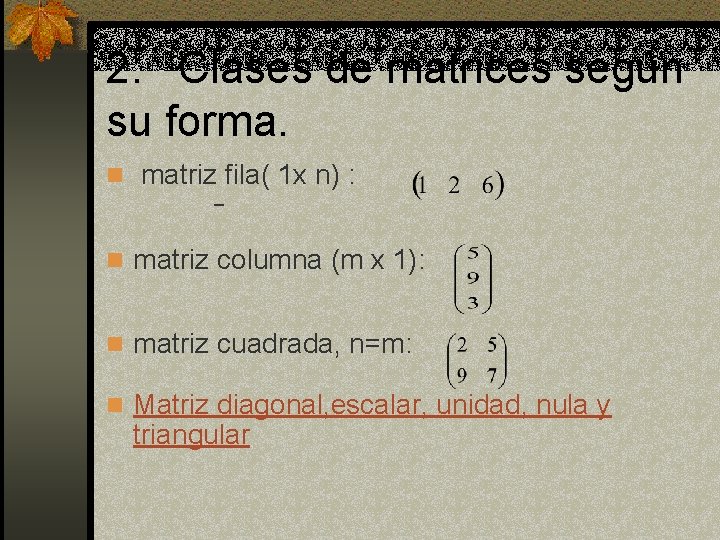 2. Clases de matrices según su forma. n matriz fila( 1 x n) :