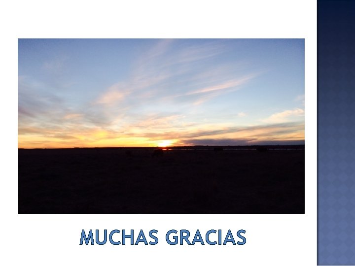 MUCHAS GRACIAS 