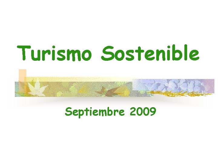 Turismo Sostenible Septiembre 2009 