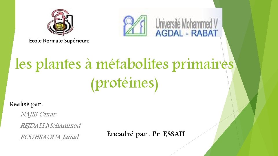 Ecole Normale Supérieure les plantes à métabolites primaires (protéines) Réalisé par : NAJIB Omar