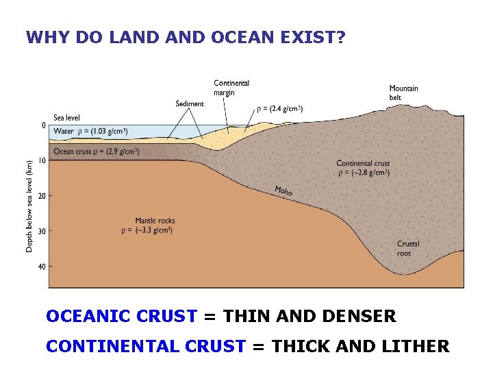 WHY DO LAND OCEAN EXIST? OCEANIC CRUST = THIN AND DENSER CONTINENTAL CRUST =