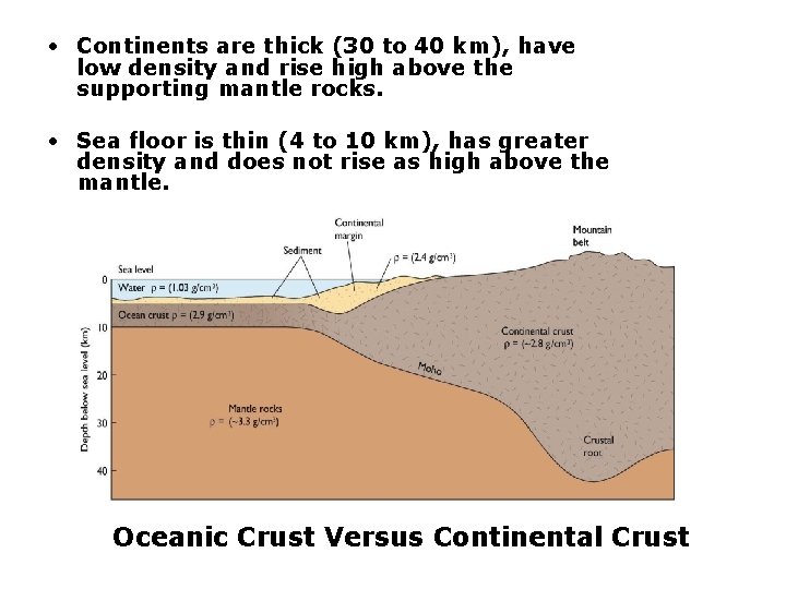  • Continents are thick (30 to 40 km), have low density and rise