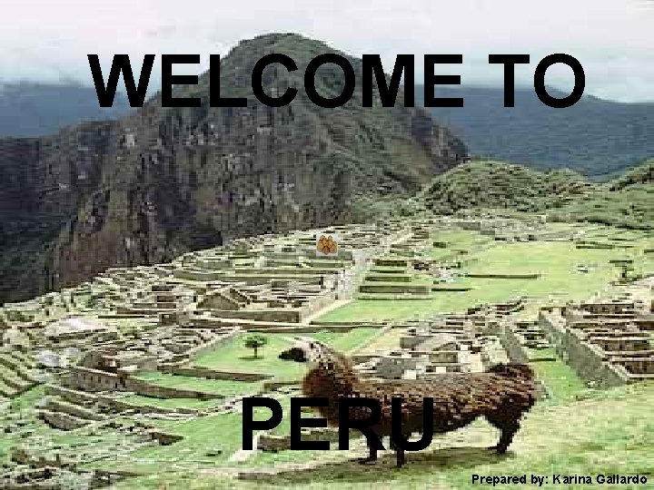 WELCOME TO PERU Prepared by: Karina Gallardo 