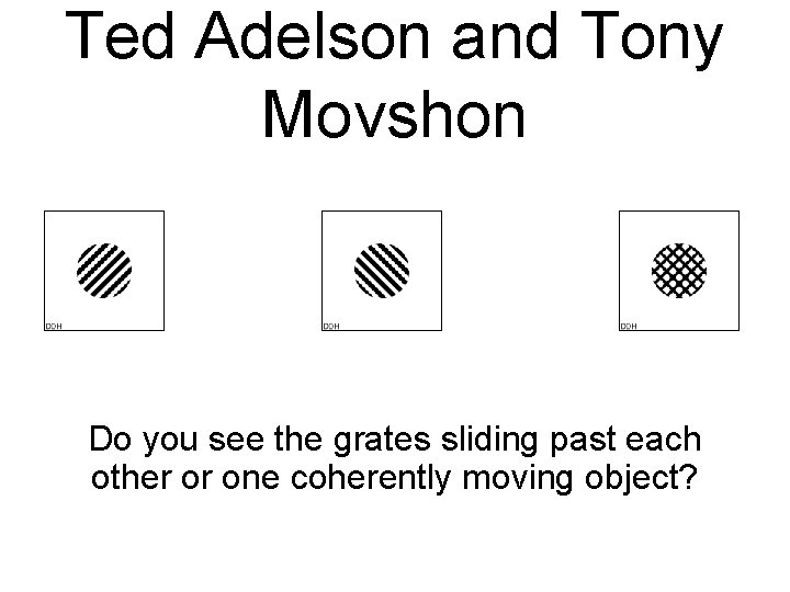 Ted Adelson and Tony Movshon Do you see the grates sliding past each other