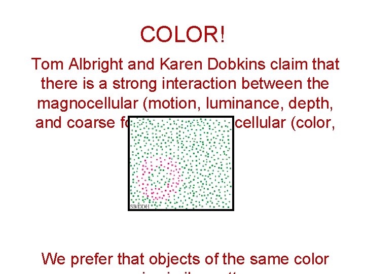 COLOR! Tom Albright and Karen Dobkins claim that there is a strong interaction between